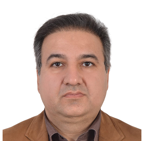 Dr Mohammadreza Razmavar